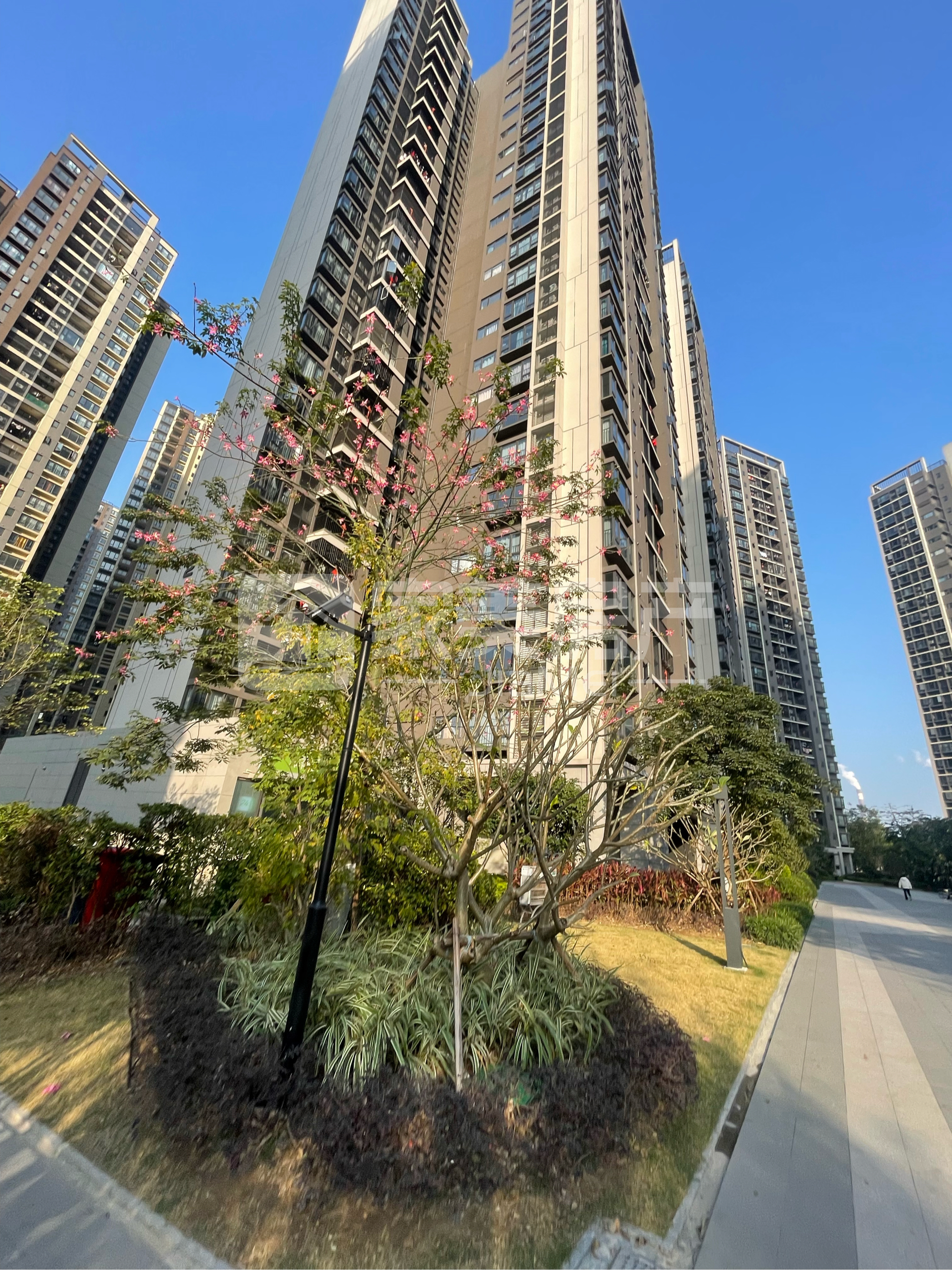 亏本出售亏本出售！！中楼层南向看花园 全新装修未住过首付3万上车随时看房